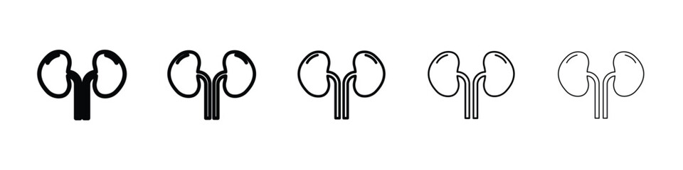 Kidney icon