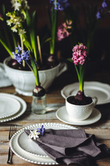 Spring elegant wedding or Easter celebration table decor. Festive white china, floral decoration with blooming bulbous hyacinth. Dark background. Springtime home gardening