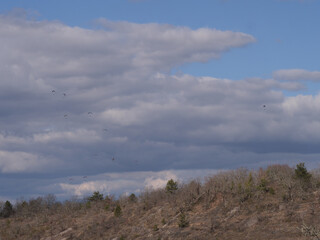 Freedom and adventure paragliding experience Mediterranean France