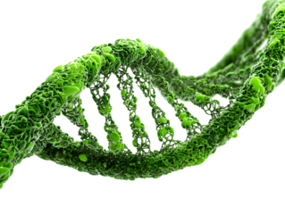 A close up view of a green dna strand against a black background showing the structure in detail