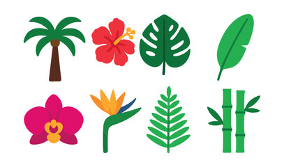 Flat vector icons of tropical plants: palm tree, hibiscus flower, monstera leaf, banana leaf, orchid, bird of paradise, fern, bamboo stalk.