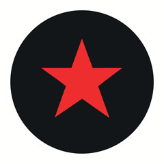 Geometric Star Inside a Circle – Minimal Line Logo Vector on White Background

