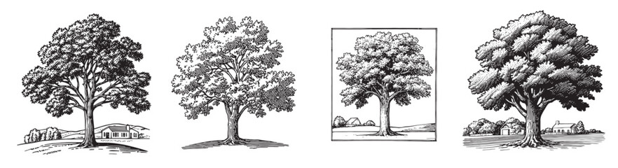 Hand-Drawn Illustrations of Different Tree Styles with Landscape Elements, logo design, engraving design, vector illustration