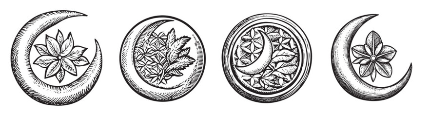 Hand-Drawn Moon Illustrations with Nature Elements in Vintage Style, Set Logo design, Vector Illustration, Engraving style