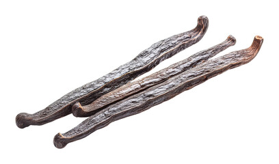 Obraz premium Harvesting organic vanilla beans culinary farm food natural setting close-up view cut out on transparent background