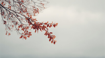 serene autumn landscape essence of daylight saving time ends