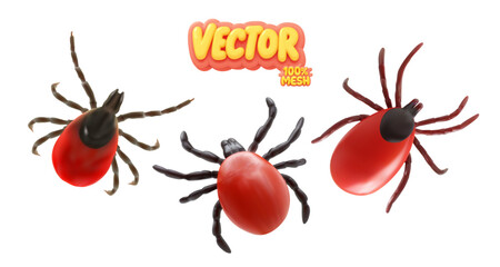 Vector set of realistic isolated red ixodid ticks on white background.