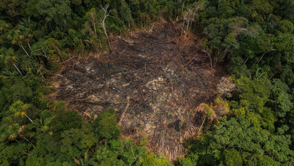AERIAL IMAGES OF DEFORESTATION IN THE PERUVIAN AMAZON, FORESTS DEFORESTED BY AGRICULTURE AND HUMAN EXPANSION, DESERTIFICATION IN THE PERUVIAN AMAZON