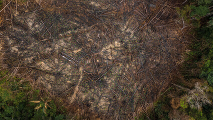 AERIAL IMAGES OF DEFORESTATION IN THE PERUVIAN AMAZON, FORESTS DEFORESTED BY AGRICULTURE AND HUMAN EXPANSION, DESERTIFICATION IN THE PERUVIAN AMAZON