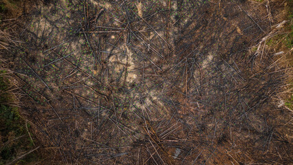 AERIAL IMAGES OF DEFORESTATION IN THE PERUVIAN AMAZON, FORESTS DEFORESTED BY AGRICULTURE AND HUMAN EXPANSION, DESERTIFICATION IN THE PERUVIAN AMAZON