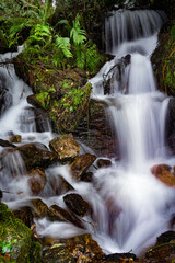 Obraz premium small waterfall in the forest