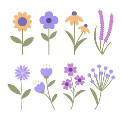 Obraz premium Colorful Wild Flower Collection Illustration