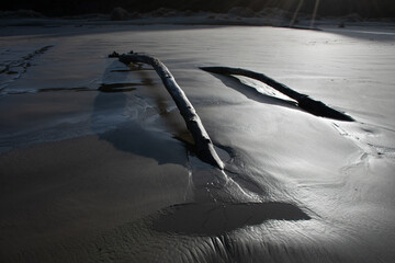 Two logs embedded in the sand, refusing to be sent back to sea by the tides
