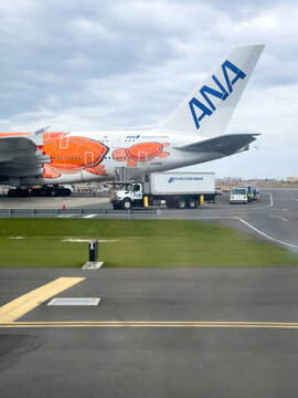 Honolulu, Oahu, Hawaii, USA - April 11, 2024: Apron of Honolulu airport with tail of All Nippon Airways ANA Airbus A380 called "Flying Turtle" or "Flying Honu" against cloudy sky