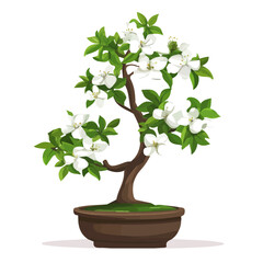 2D flat vector illustration of A Japanese Snowbell Bonsai, isolated on a white background.