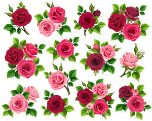 Red and pink rose flowers. Set of vector design elements with red and pink rose flowers and green leaves isolated on a white background