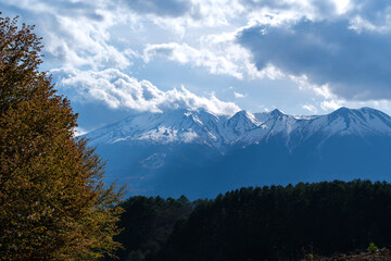 Fototapeta premium 御嶽山と林