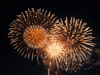 Bright, exploding fireworks illuminate the night sky, creating a dazzling display of light and celebration.