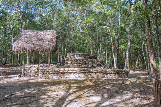 Coba, Mexico, 2019. Maya Stelaes This monument is carved in the stone with inscriptions and designs with various aspects of the Mayan formal life, including dress, ritual and ceremonial process.