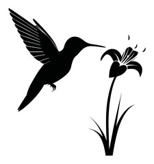 Obraz premium Elegant Hummingbird Silhouette Hand Drawn Next to Floral Blooming Blossom