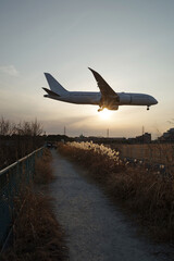 大阪府豊中市・夕暮れの千里川堤防の飛行機の降りる風景