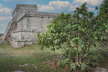 Tulum, Mexico, Dec 2019. Temple of the Stela, the name of a Mayan engraved monolith, a large stone...