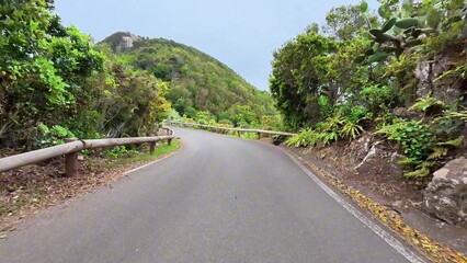 Explore the beautiful scenic curved road that is surrounded by lush greenery and nature