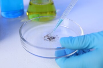 Scientist dripping liquid with pipette onto Petri dish on white background, closeup