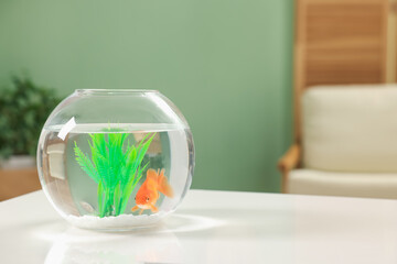 Gold fish swimming in aquarium with clean water on white table indoors, space for text