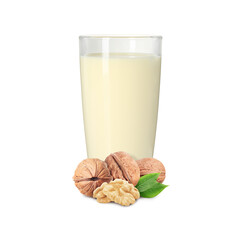 Nut milk in glass and walnuts isolated on white