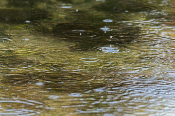 梅雨の季節　川の水面に雨が降る02