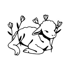 adorable lamb with woolly fleece line art drawing