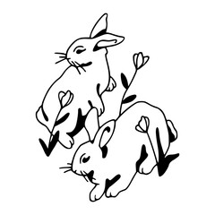 cute bunnies with daisy flower vector	