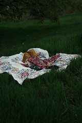 Woman lying peacefully on a traditional carpet spread over lush green grass, blending comfort,...