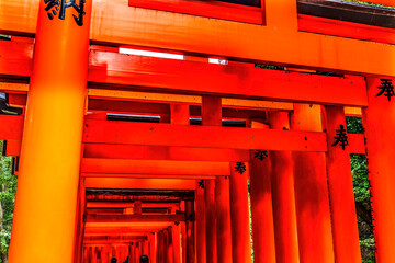 Colorful Row Red Tori Gates Fushimi Inari Shrine Kyoto Japan