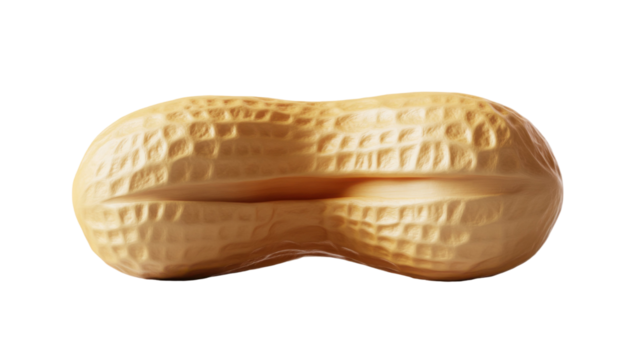  Whole raw peanut with natural shell texture and organic shape isolated on white background