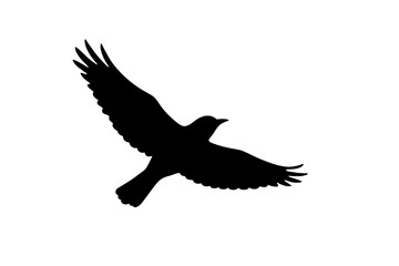 Flying Bird Icon