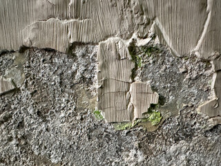 Textured wall with peeling paint and mold growth due to moisture damage