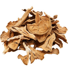 Dried wood slices are arranged in natural pile, showcasing their unique textures and colors. These organic pieces can be used for crafts, decoration, or as natural elements in various projects