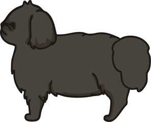 横から見た可愛いペキニーズ（ブラック）のイラスト