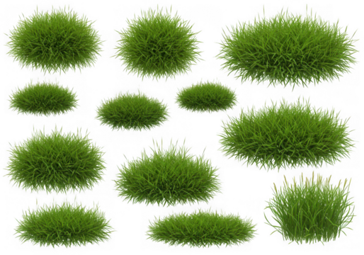 Collection of green grass tufts isolated on transparent background