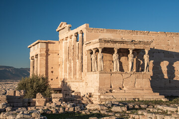 Fototapeta premium the roman forum
