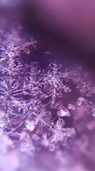 Macro Shot of Beautiful Snowflake Crystals