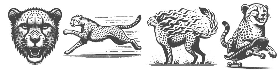 Fototapeta premium Vintage Hand-Drawn Cheetah Running Collection Illustration, Wild Animal Engraved Style Vector for T-Shirts and Sports Themes Design