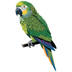 blue and yellow macaw ara ararauna