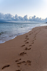 Footprints in the sand lead to the ocean under a cloudy sky.