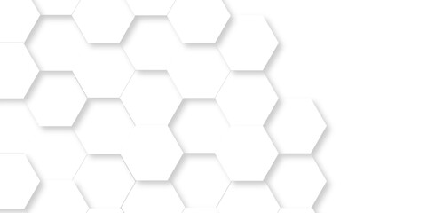 Fototapeta premium Abstract minimal Background with white lines Hexagonal structure futuristic white background and Embossed Hexagon , honeycomb white mosaic cell web ,light and shadow texture design.