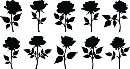 Set of black rose flower silhouettes with leaves, in different styles and angles, isolated on transparent background. Perfect for romantic, floral, tattoo, or decorative designs.