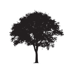 Sharp Branch Alder Tree Silhouette Drawing
