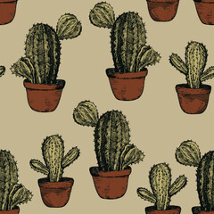 Seamless pattern with cacti, blooming succulent on color background. Vector hand drawn illustration for packaging, fabric, textile. Wild west cactus, western concept.
